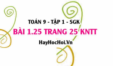 Bài 1.25 trang 25 Toán 9 tập 1 Kết nối tri thức SGK